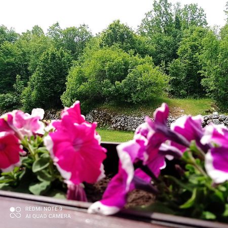 Vikendica Njegusi Villa Цетине Екстериор снимка